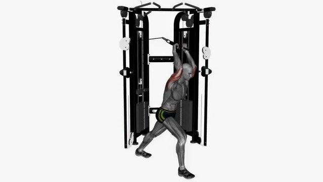 3D rendered animation showcasing the tricep workout at the gym on the empty white background