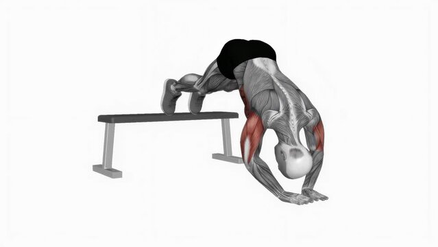 3D rendered animation showcasing the pushup exercise using a bench isolated on the white background