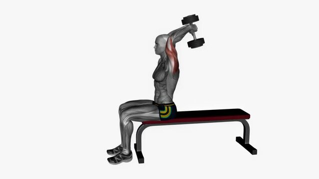3D rendered animation showcasing the exercise with dumbbells using a bench on the white background