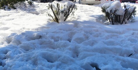 PAISAJE NIEVE BLANCO. 