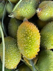 Vertical closeup of spiny gourds on a stack
