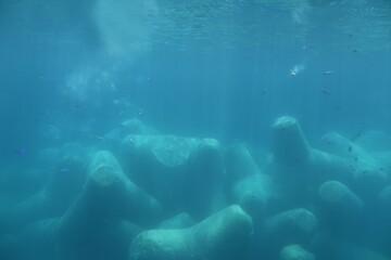 Fototapeta na wymiar Stunning underwater scene of the ocean floor with rocks
