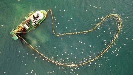 Aerial view of a fishing boat with its net spread out in the middle of a large flock of birds