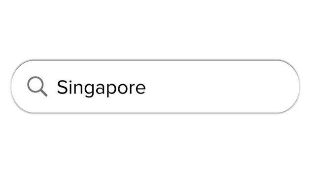 Www search bar icon with Singapore text isolated on white background