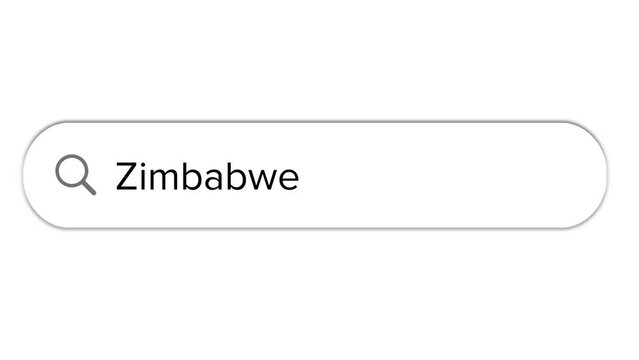 Www search bar icon with Zimbabwe text isolated on white background