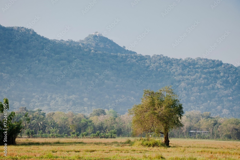 Poster Scenic shot of a landscape featuring a single tree in the foreground and hills on the background