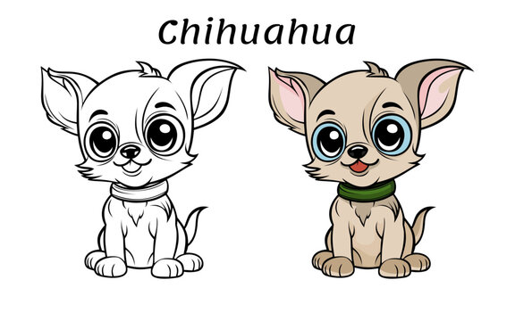 Vector illustration of a chihuahua. Coloring book illustration