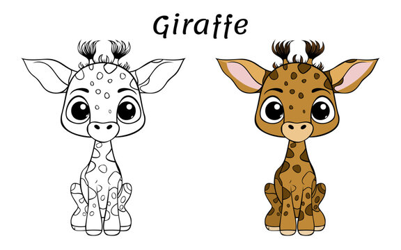 Vector illustration of a giraffe. Coloring book illustration
