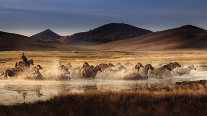 Herd of horses running through a river valley in mountains