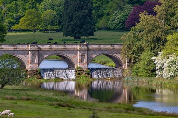 Fototapeta premium Scenic view of a bridge over a river surrounded by lush green grass in a rural landscape