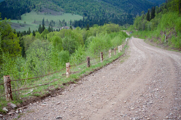 Obraz premium Lush woodland trail bordered by wooden barrier and foliage