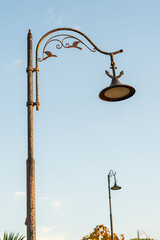 Yellow street light illuminates a lush green tree standing at the edge of a city street