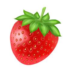 Whole strawberry. Realistic berry with green leaves. Fresh summer raw fruit for packaging and advertising decor. Healthy food. Delicious product. 3d isolated on white background vector illustration