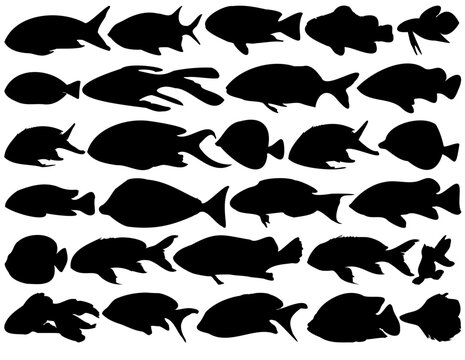 Abstract vector silhouettes of sea and river fish icon.
