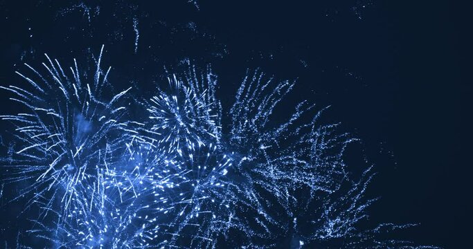 Beautiful firework in dark sky. The color is blue