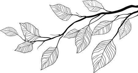 Continuous One Line Drawing of a leaf on a branch, unbroken nature outline, sleek tree branch portrayal, refined leaf contour drawing