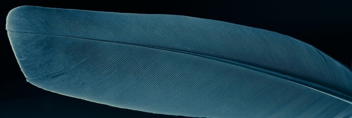 AI generated illustration of a close-up of a single blue feather
