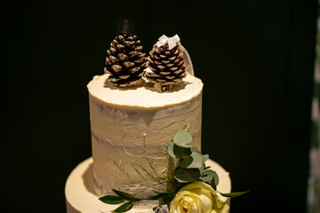 Bride and groom pine cone wedding cake topper