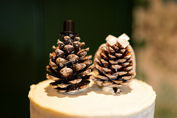 Bride and groom pine cone wedding cake topper