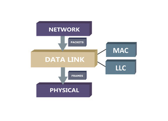 Data link sub layers, OSI model, vector