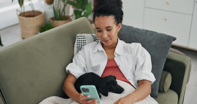 Phone, app and happy woman with a dog on sofa for social media, relax or reading at home. Smartphone, pet and female person in a living room with puppy, bonding or comfort while texting in a house