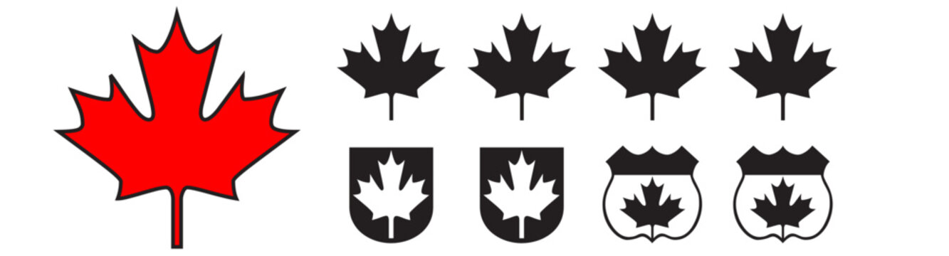 maple leaf canada vector symbol icon design. Beautiful illustration isolated on white background