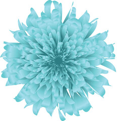 Big light blue flower. Vector drawing.