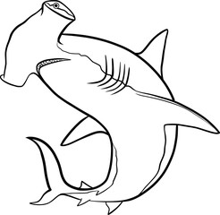 hammerhead shark outline vector illustration