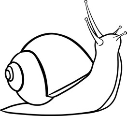 Snail, outline illustration isolated on transparent background	
