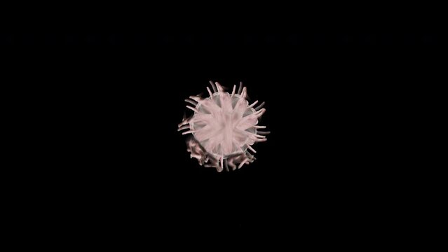 Abstract creative shape of human hands forming floral on black background
