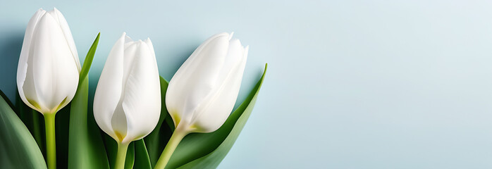 A postcard for the March 8th Mother's Day holiday. White tulip flowers