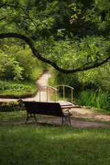 Bench in the morning garden under a tree surrounded by a pond and bushes.