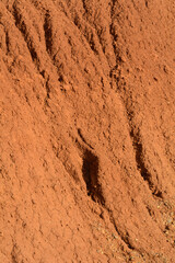 ABSTRACCION Y TEXTURA DE TIERRA EROSIONADA