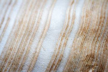 Extreme closeup of an old book from the side