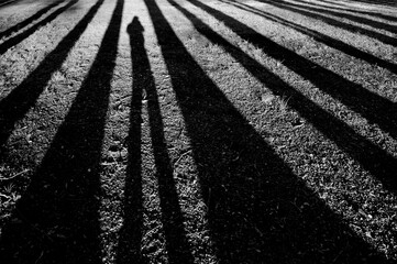 Silhouettes of people walking in a meadow, illuminated by the bright sunlight in grayscale