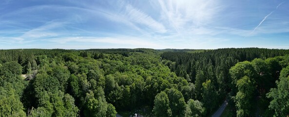 Panoramic shot of a forest under a blue cloudy sky in the countryside