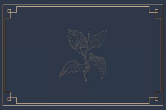 Illustration of a blue and gold border wine label with a distinct, decorative design