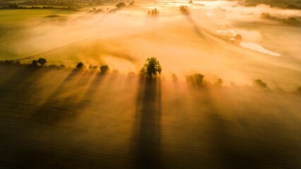 Aerial view of a pastoral landscape covered with fog at golden hour - obrazy, fototapety, plakaty