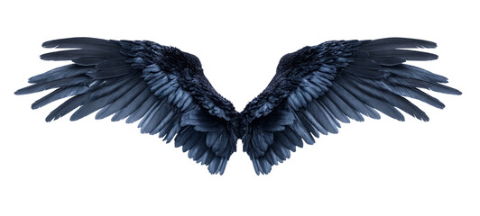 Black angel wing, png