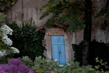 Fototapeta na wymiar Colorful blue wooden door tucked away in the lush green Boboli garden
