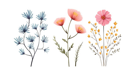 hand drawn dainty  flowers isolated