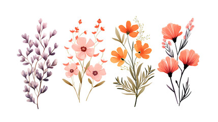 hand drawn dainty  flowers isolated