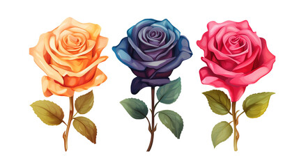hand drawn rose flowers isolated