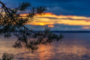 Tree branch silhouetted against a backdrop of a picturesque setting sun over a calm body of water.