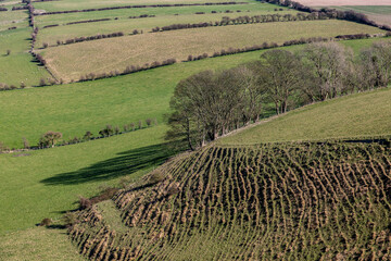 Terracettes on a South Downs hillside, on a spring day © lemanieh