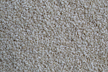 White sesame seeds as background