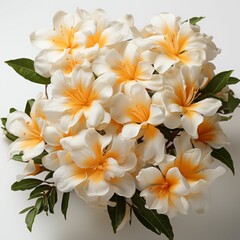 Obraz na płótnie Canvas White and Yellow Flower Bouquet on White Background
