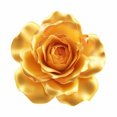 Large Yellow Flower on White Background