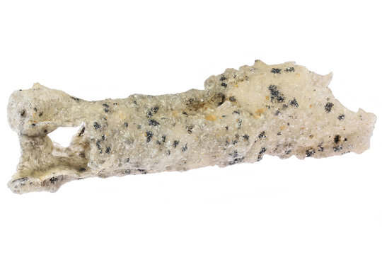 fulgurite (fossilized lightning) from the Sahara Desert, Morocco isolated on white background