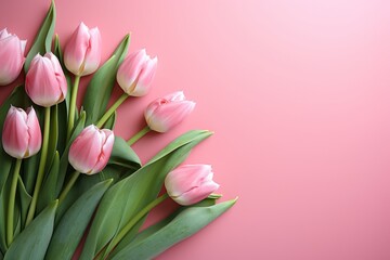 Beautiful aerial shot of colorful tulips on a soft pink background with ample space for text.